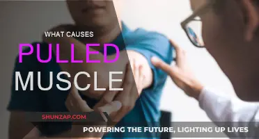 Pulled Muscles: Causes and Prevention