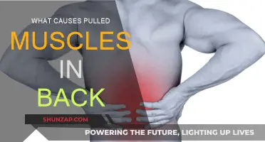 Back Pain: Understanding Pulled Muscles and Their Causes