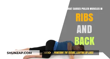 Understanding Pulled Muscles: Causes of Rib and Back Strains Explained