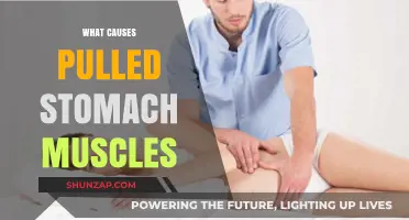 Understanding Pulled Stomach Muscles: Causes, Symptoms, and Prevention Tips