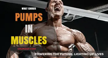 Understanding Muscle Pumps: Causes, Benefits, and Training Techniques Explained