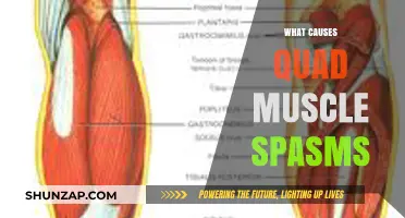 Understanding Quad Muscle Spasms: Causes, Triggers, and Prevention Tips