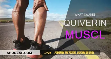 Understanding Muscle Quivers: Causes and Triggers