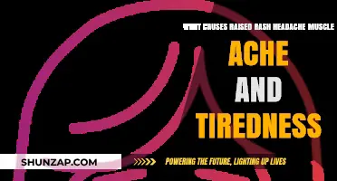 Raised Rash, Headache, Muscle Ache, and Tiredness: Uncovering the Causes