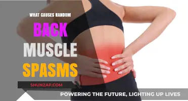 Understanding Random Back Muscle Spasms: Causes and Triggers Explained