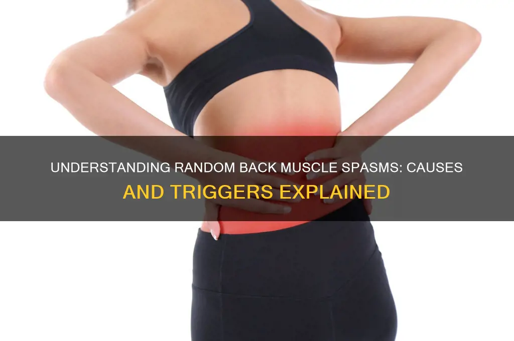 what causes random back muscle spasms