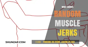 Understanding Random Muscle Jerks: Causes and Triggers Explained