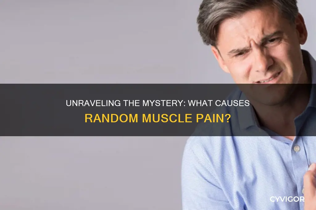 what causes random muscle pain