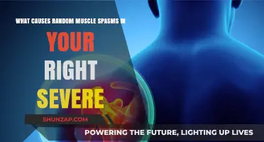 Understanding Sudden Right Shoulder Muscle Spasms: Causes and Solutions