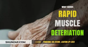 Unraveling the Causes of Rapid Muscle Deterioration: Key Factors Explained