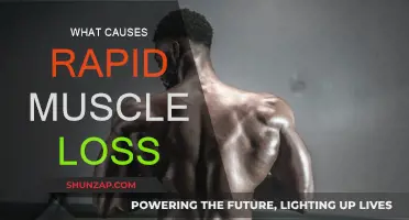 Understanding the Root Causes of Rapid Muscle Loss