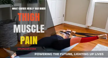 Understanding Inner Thigh Muscle Pain: Causes and Relief Strategies