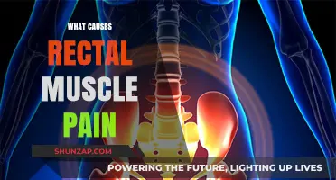 Understanding Rectal Muscle Pain: Causes, Symptoms, and Relief Strategies