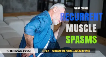 Understanding Recurrent Muscle Spasms: Causes, Triggers, and Prevention Tips