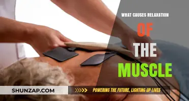 Understanding Muscle Relaxation: Causes, Mechanisms, and Key Factors Explained
