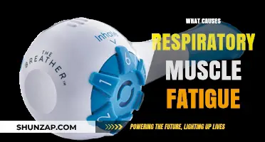 Understanding Respiratory Muscle Fatigue: Causes and Contributing Factors Explained