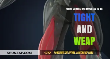 Understanding Muscle Tightness and Weakness: Causes and Solutions
