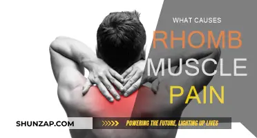 Understanding Rhomboid Muscle Pain: Causes and Triggers