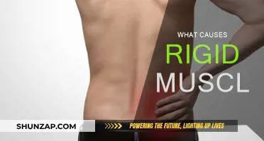 Understanding Muscle Rigidity: Causes and Triggers
