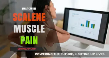 Understanding Scalene Muscle Pain: Causes, Symptoms, and Effective Relief Strategies