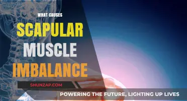 Understanding Scapular Muscle Imbalance: Causes and Corrective Strategies
