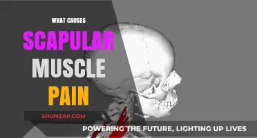 Understanding Scapular Muscle Pain: Common Causes and Triggers Explained