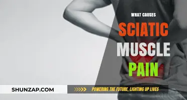 Understanding Sciatic Muscle Pain: Common Causes and Triggers Explained