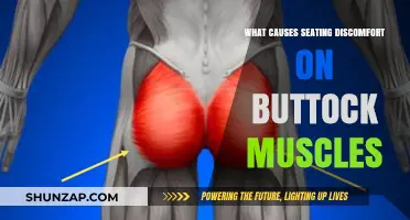 Understanding Buttock Muscle Discomfort: Causes and Seating Solutions