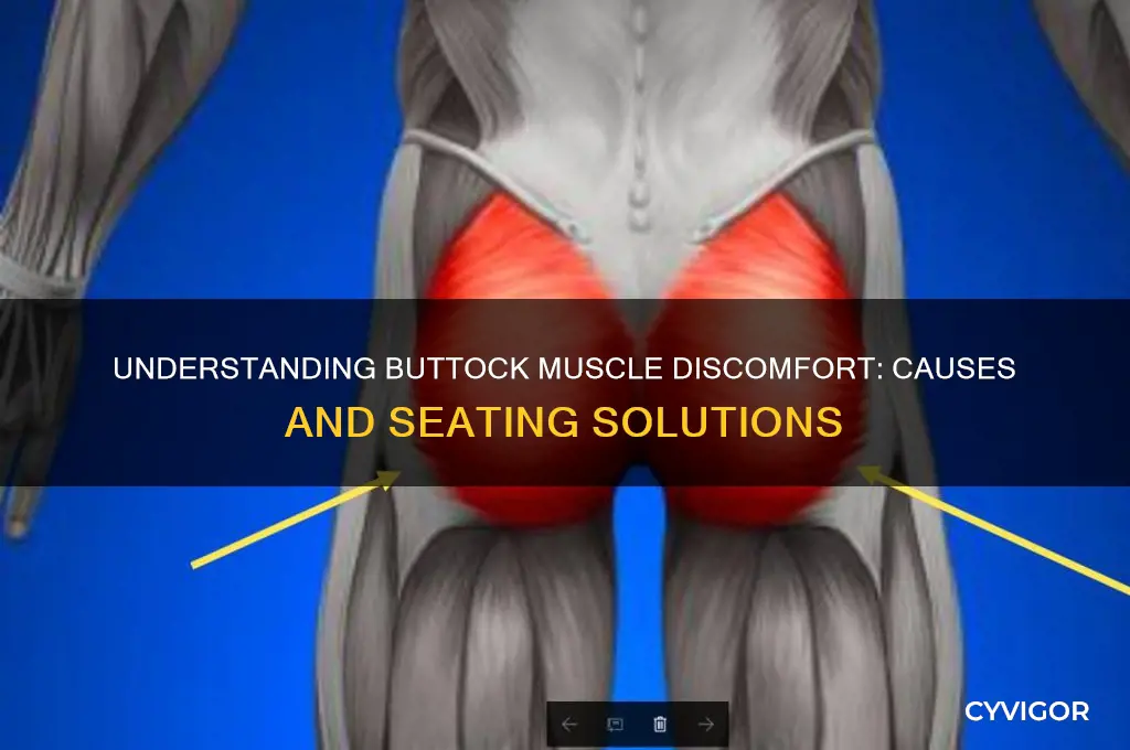 what causes seating discomfort on buttock muscles