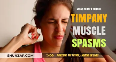Understanding Sensor Timpani Muscle Spasms: Causes and Triggers Explained