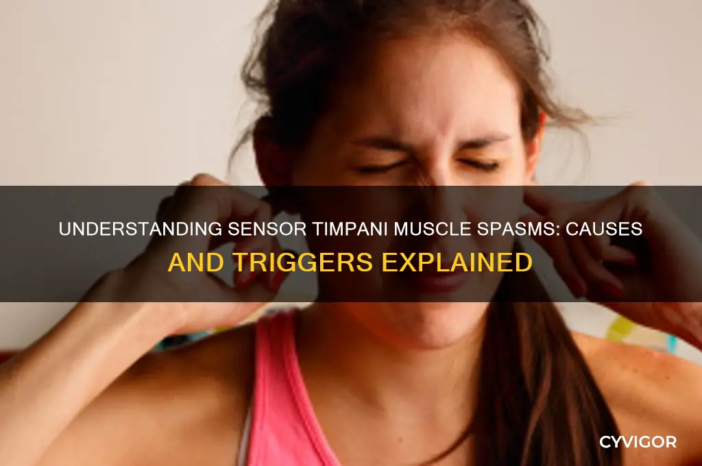 what causes sensor timpany muscle spasms
