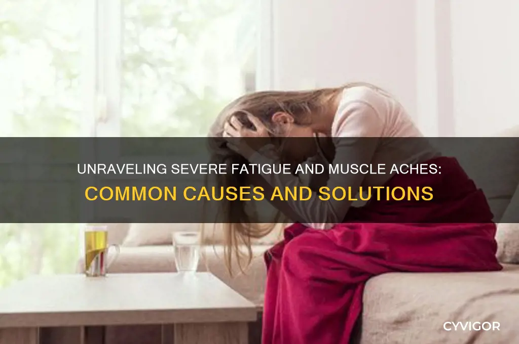 what causes severe fatigue and muscle aches