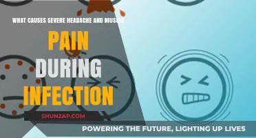Understanding Infections: Why Severe Headaches and Muscle Pain Occur
