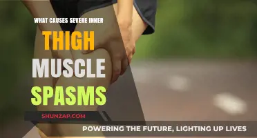 Understanding Severe Inner Thigh Muscle Spasms: Causes and Triggers