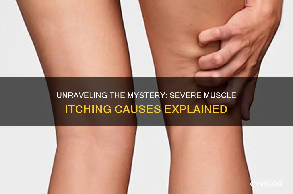 what causes severe itching in muscles