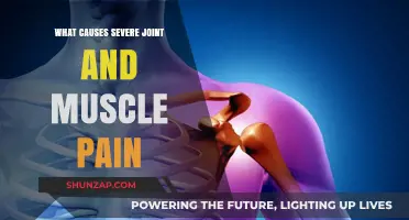 Unraveling the Mystery: Severe Joint and Muscle Pain Causes Explained