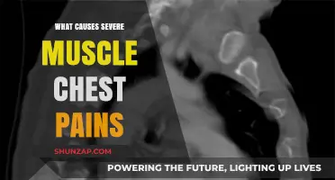 Understanding Severe Chest Muscle Pains: Causes and Warning Signs