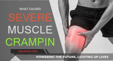 Understanding Muscle Cramps: Causes and Triggers