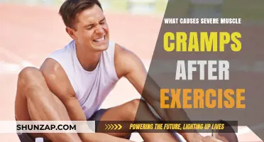 Understanding Severe Muscle Cramps: Post-Exercise Causes and Prevention Tips