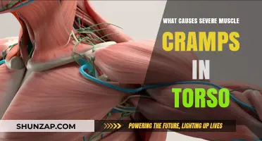 Understanding Severe Torso Muscle Cramps: Causes and Triggers Explained