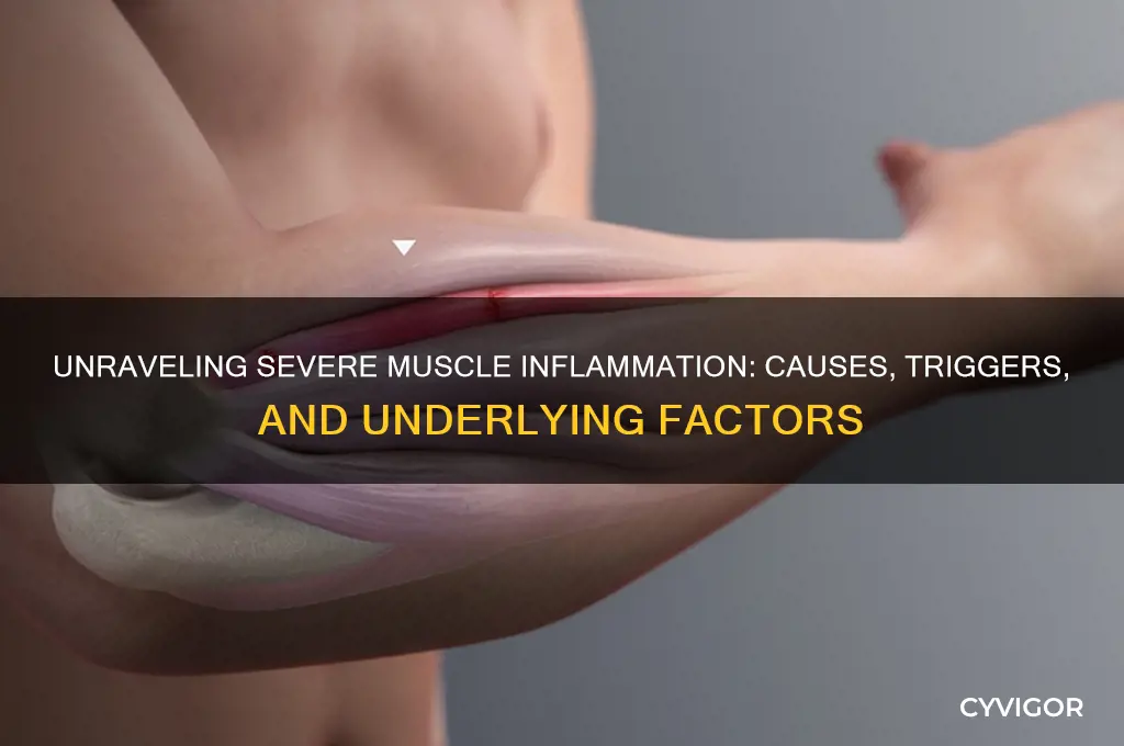 what causes severe muscle inflammation