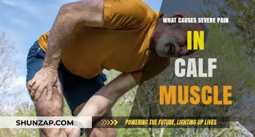 Understanding Severe Calf Muscle Pain: Common Causes and Triggers