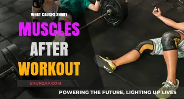 Why Muscles Tremble Post-Workout: Unraveling the Shaky Aftermath