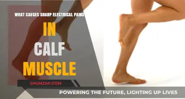 Sharp Electrical Pains in Calf Muscle: Causes and Solutions