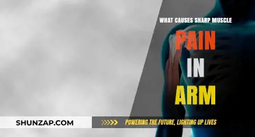 Sharp Arm Pain: Causes, Triggers, and Effective Relief Strategies