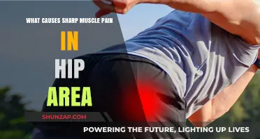 Sharp Hip Pain Causes: Uncovering the Root of Muscle Discomfort
