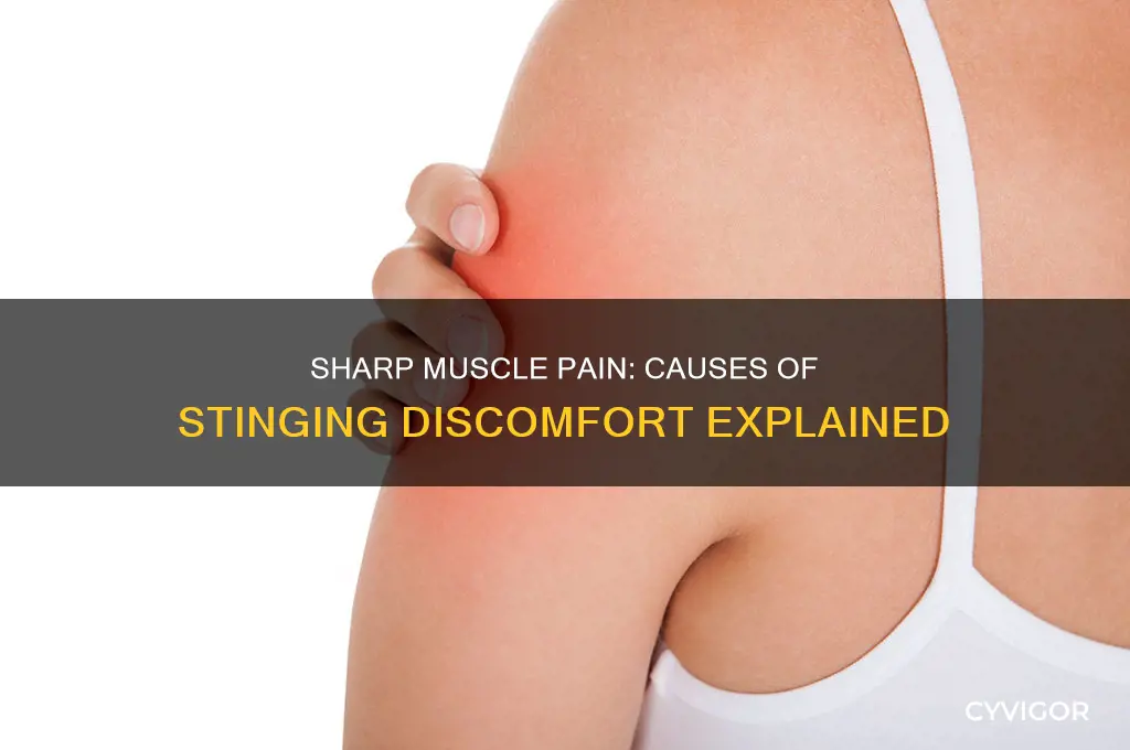 what causes sharp stinging pain in muscles