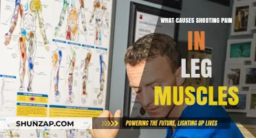 Shooting Leg Pain: Causes and Triggers in Muscle Discomfort