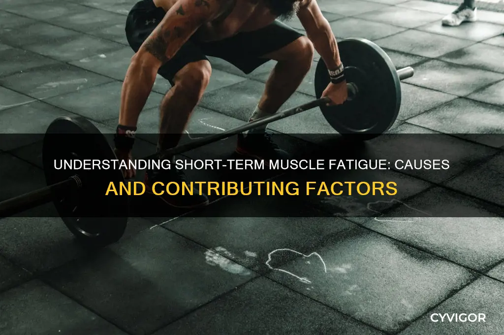what causes short term muscle fatigue