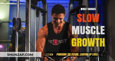 Unraveling the Factors Behind Slow Muscle Growth: Causes and Solutions